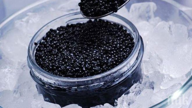 България произвежда черен хайвер за САЩ, както и за традиционния лидер Франция