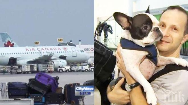 Пилот пренасочи курса на самолет, за да спаси живота на едно куче (снимки и видео)