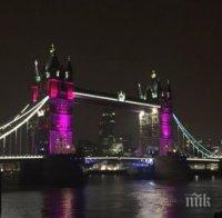 Кентърбърийският архиепископ обеща да предложи убежище на сирийски бежанци в своята официална резиденция в Лондон