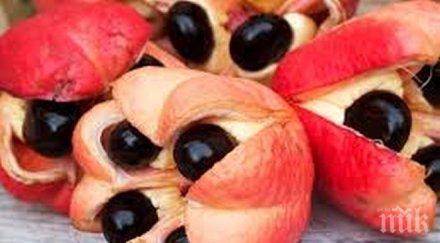 яжте храни искате простите живота