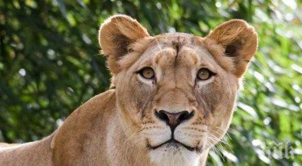 дарение млн долара получи зоопаркът вашингтон