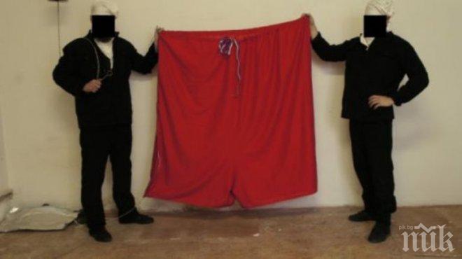 Провокатори развяха огромни гащи върху резиденцията на чешкия президент (снимки)
