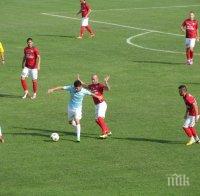 Дунав прегази 