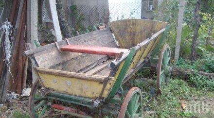 автобус отнесе каруца бяла слатина