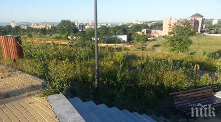 151 лични асистенти осигуряват грижа хора нужда община сливен