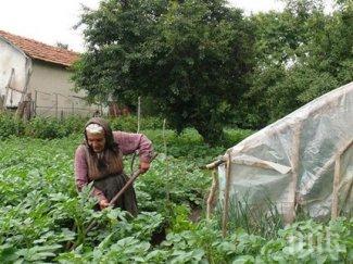душевадци посегнаха лютеницата компотите