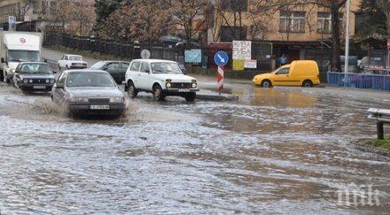 пик перник възстановява пороя