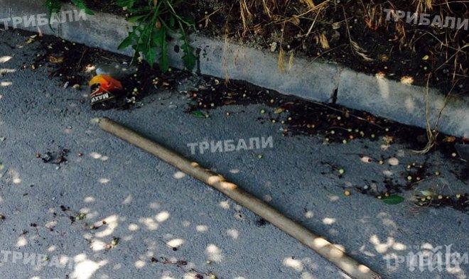 Мъж пострада в схватка със събирачи на орехи