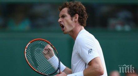 гент домакин финала купа дейвис