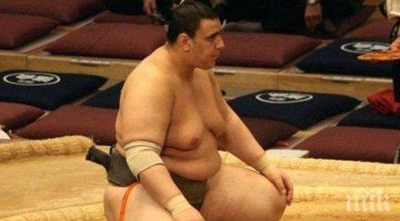 аоияма справи кайсей