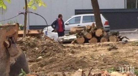 скандал столичани изригнаха масова сеч южния парк строи снимки