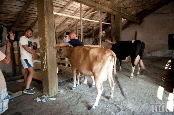 6 българки се страхуват от една рускиня във „Фермата”