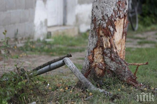 Пастир се потроши след като падна от дъб, докато кастрел шума за козите си
