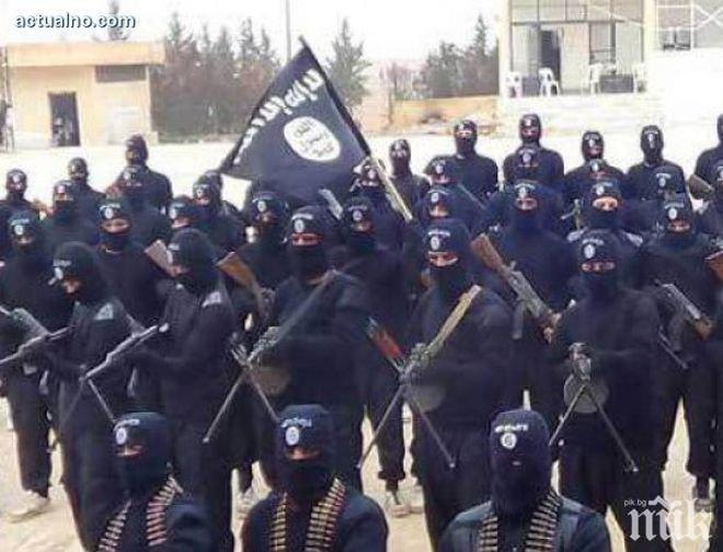 Ислямска държава вербува икономисти
