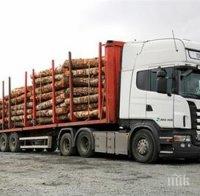 Спипаха 3 камиона с крадена дървесина в „Грамада“