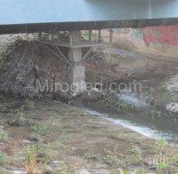 Пороят затлачи реката в Перник
