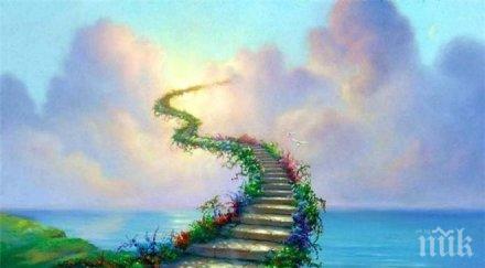 раят всъщност мозъчен процес идва нищото