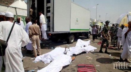 министърът здравеопазването саудитска арабия блъсканицата мека била причинена неизпълнили инструкциите движение богомолци