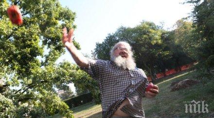 босия прецака органите реда