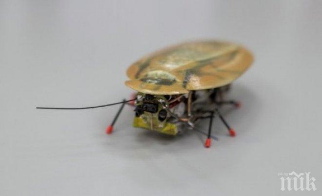 Руснаците „измайсториха” робот-разузнавач, изглеждащ като хлебарка
