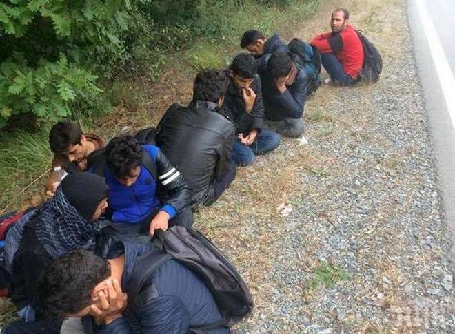 Задържан е мъжът, превозвал откритите край Перник бежанци