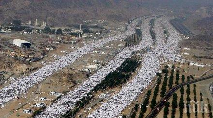 египтяни загинали тазгодишния хадж