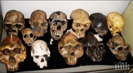 фосили два милиона години показват чували предшествениците човека