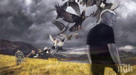 дейвид гилмор оглави британската класация албуми