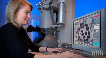 европейците смятат жените бъдат учени