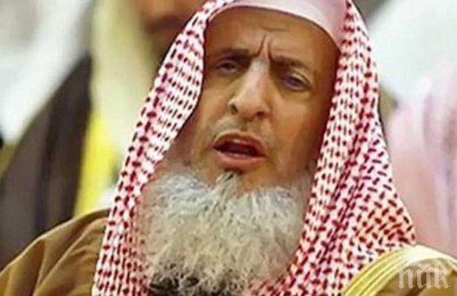 Шефът на мюсюлманите в Саудитска Арабия за смъртта на 717-те в Мека: Съдбата не може да се избегне
