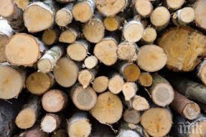 150 кубика дървесина, отсечена назаконно, са хванали от началото на септември във Варненско