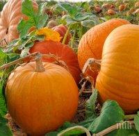 Разкриха аромати на плодове и зеленчуци, които действат като виагра