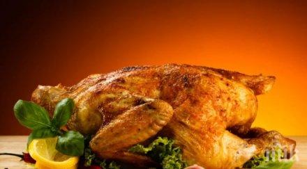 скандал купуваме вижте шокиращата история жената попаднала живи червеи сготвеното ястие