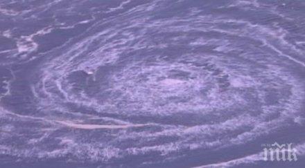 нова зеландия превърне архипелага кермадек огромен морски резерв