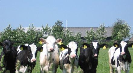 учат земеделците разпознават болестите селскостопанските животни