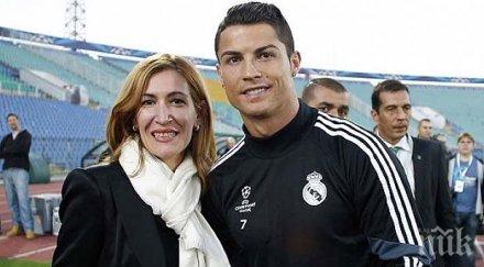 разследване пик приятелски кръг министерството туризма превзема плажовете схемата министърка орешарски