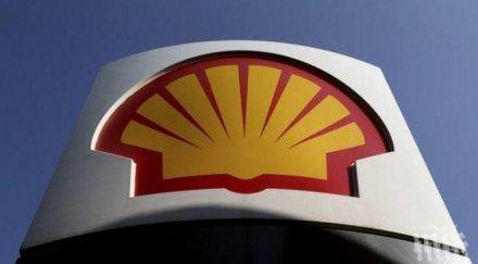 шел отложи сондажите нефт аляска