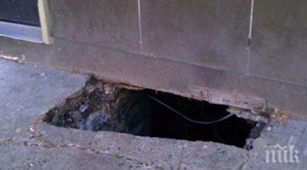 дупка зейна прозореца семейство добрич