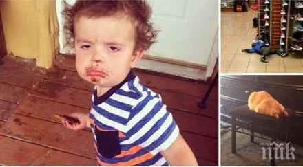 ситуации хора грам пука