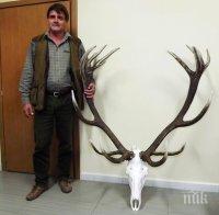 Подобриха 10-годишен рекорд за трофей от благороден елен (снимки)