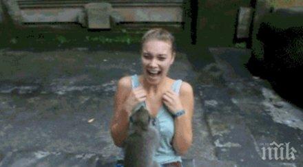 едни пакостливите животни гаранция разсмеят такива пакостници