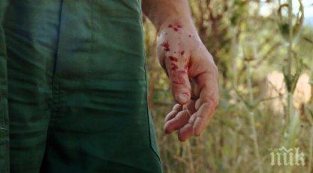 зверско убийство роми пребиха чукове дядо лева