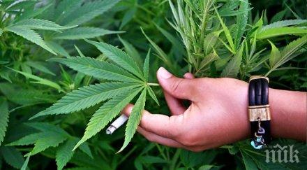 закопчаха шестима души продажба наркотици македония