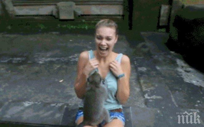 Едни от най-пакостливите животни, които с гаранция ще те разсмеят! Те са такива пакостници, че ...