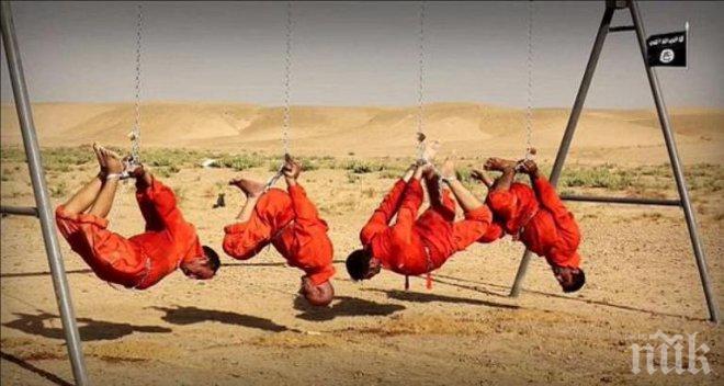 Терористите от „Ислямска държава“ бягат, след като им орязаха заплатите до 65 лири месечно