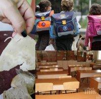 Потресаващо и гнусно! С какво се хранят учениците до 4-и клас - безплатните сандвичи са пластмаса и мухъл (снимки)
