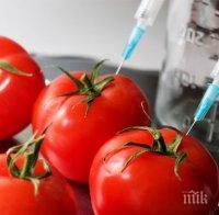 МЗХ: България продължава да бъде страна, в която са забранени ГМО културите