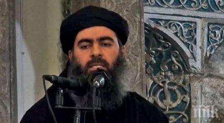 кремъл целта русия сирия помогне ислямска държава