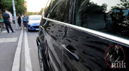 какви коли харесва българинът