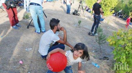 наглост бежанци нас отказват заплати 1200 лева били